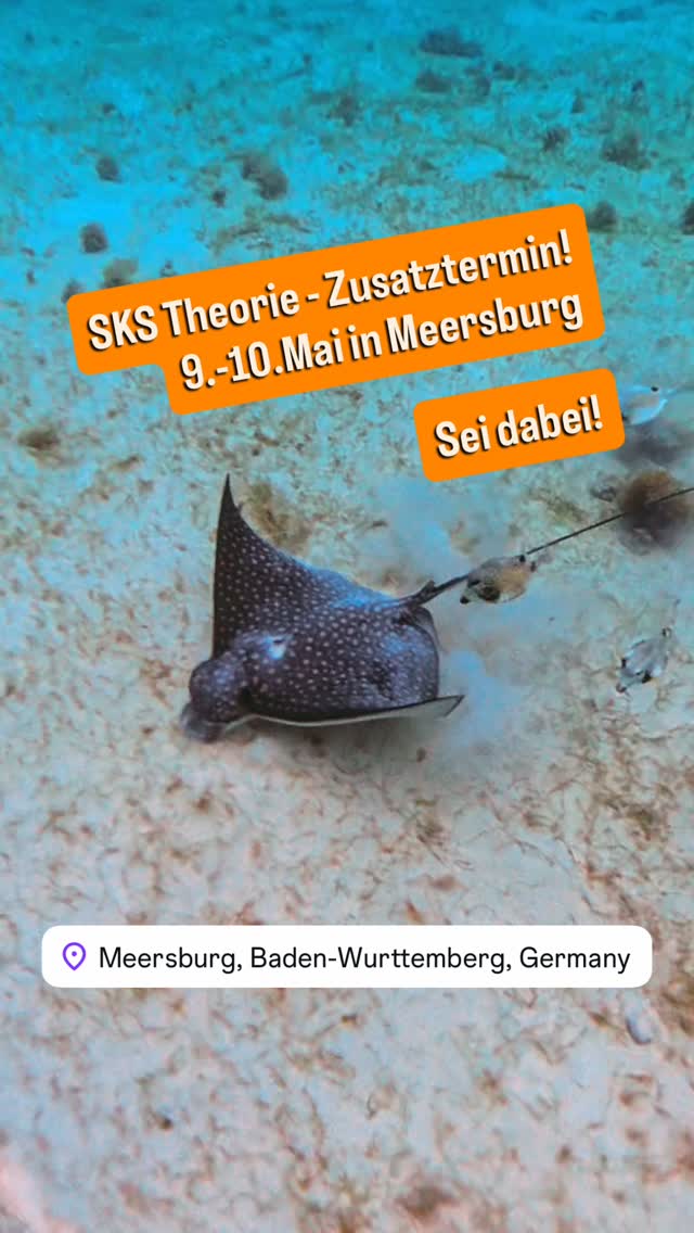🌊 Der nächste Schritt auf deinem Weg zum Hochseesegler!

Du träumst davon, selbstständig auf dem Meer zu segeln? Dann ist der Sportküstenschifferschein (SKS) der perfekte nächste Schritt nach dem SBF See.

In unserem SKS-Theoriekurs im Mai in Meersburg am Bodensee lernst du alles, was ein verantwortungsvoller Skipper wirklich können muss:

⚓ Navigation auf professionellem Niveau
🌬️ Wetter verstehen & richtig interpretieren
🌊 Gezeiten- und Tidenkunde
🧭 Sicherheit, Seemannschaft & Prüfungswissen

Praxisnah, verständlich und mit viel Erfahrung aus echten Seemeilen vermittelt. Bei uns lernst du nicht nur für die Prüfung – sondern fürs echte Segeln auf dem Meer.

📍 Kursort: Meersburg am Bodensee
📅 Termin: Mai 2026

Sichere dir jetzt deinen Platz und komm deinem Traum vom eigenen Törn ein großes Stück näher.#bodensee #meersburg #segeln #sonne #strand